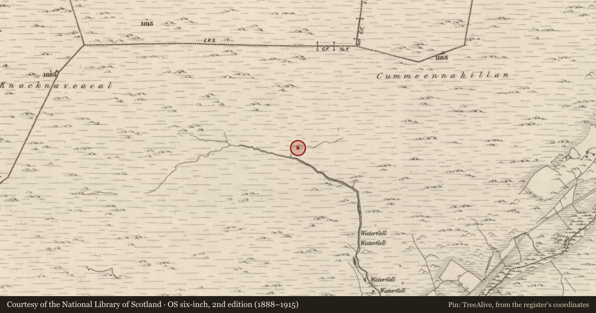 Ordnance Survey six-inch map, 2nd edition (1888–1915) covering the location of Hut site, Shronebirrane, County Kerry, with a pin at the register's coordinates