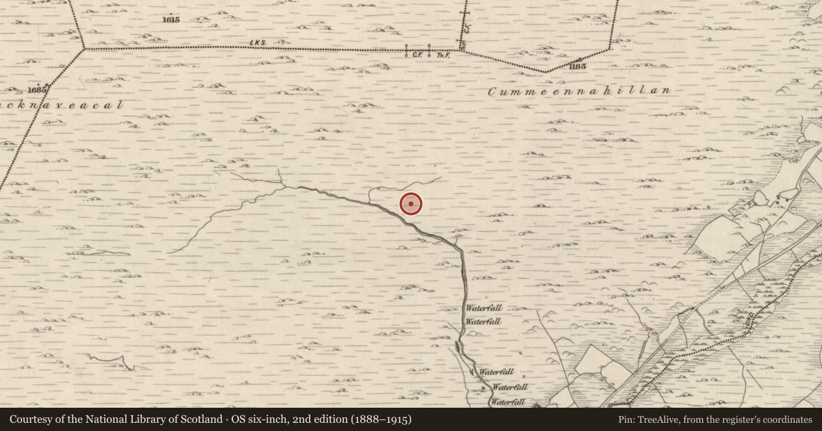 Ordnance Survey six-inch map, 2nd edition (1888–1915) covering the location of Enclosure, Shronebirrane, County Kerry, with a pin at the register's coordinates