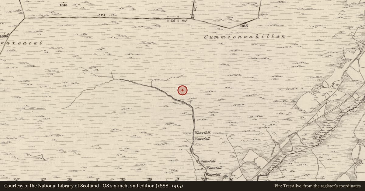 Ordnance Survey six-inch map, 2nd edition (1888–1915) covering the location of Hut site, Shronebirrane, County Kerry, with a pin at the register's coordinates