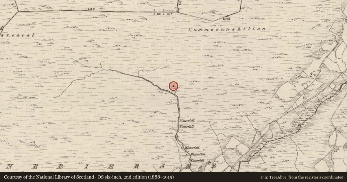 Ordnance Survey six-inch map, 2nd edition (1888–1915) covering the location of Hut site, Shronebirrane, County Kerry, with a pin at the register's coordinates