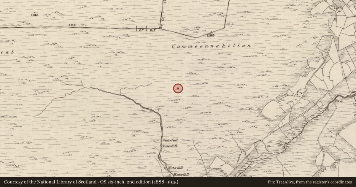 Ordnance Survey six-inch map, 2nd edition (1888–1915) covering the location of Field boundary, Shronebirrane, County Kerry, with a pin at the register's coordinates
