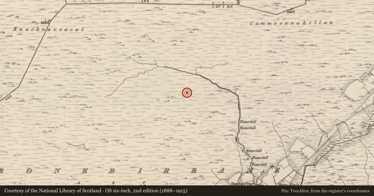 Ordnance Survey six-inch map, 2nd edition (1888–1915) covering the location of Hut site, Shronebirrane, County Kerry, with a pin at the register's coordinates