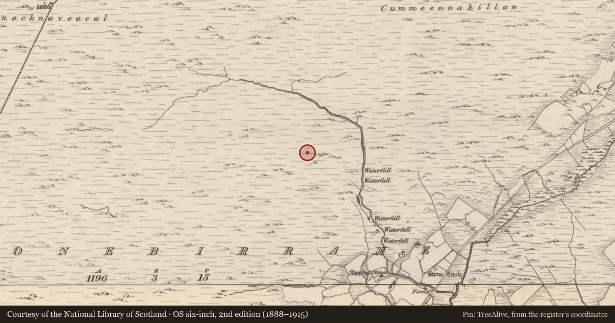 Ordnance Survey six-inch map, 2nd edition (1888–1915) covering the location of Hut site, Shronebirrane, County Kerry, with a pin at the register's coordinates