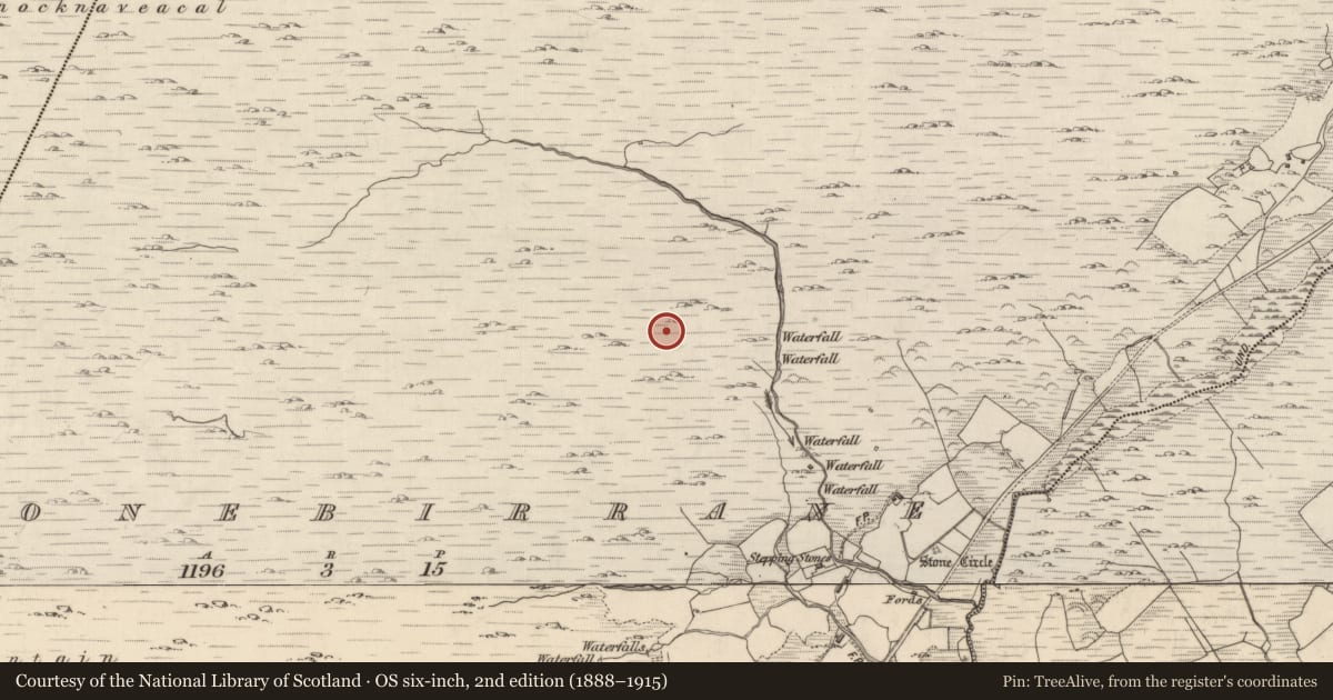 Ordnance Survey six-inch map, 2nd edition (1888–1915) covering the location of Hut site, Shronebirrane, County Kerry, with a pin at the register's coordinates