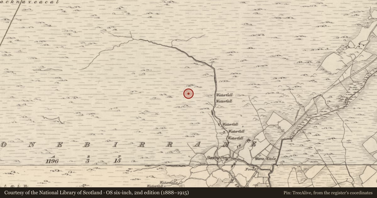 Ordnance Survey six-inch map, 2nd edition (1888–1915) covering the location of Enclosure, Shronebirrane, County Kerry, with a pin at the register's coordinates
