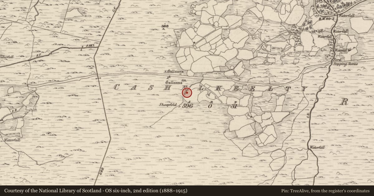Ordnance Survey six-inch map, 2nd edition (1888–1915) covering the location of Fulacht fia, Cashelkeelty, County Kerry, with a pin at the register's coordinates