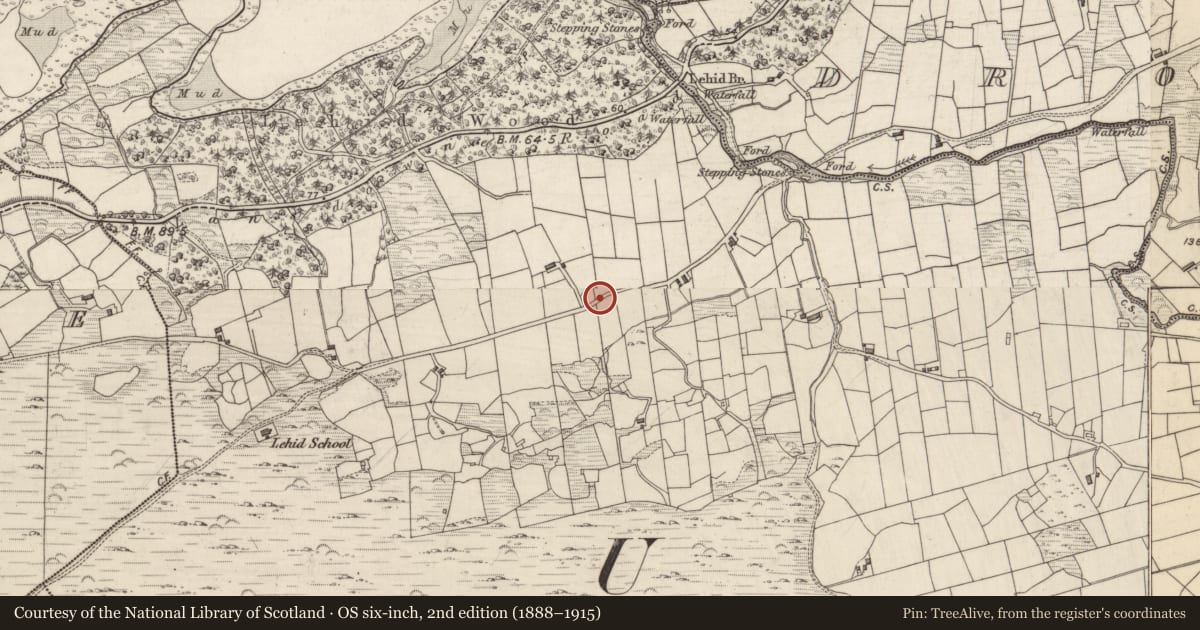 Ordnance Survey six-inch map, 2nd edition (1888–1915) covering the location of Souterrain, Lehid, County Kerry, with a pin at the register's coordinates