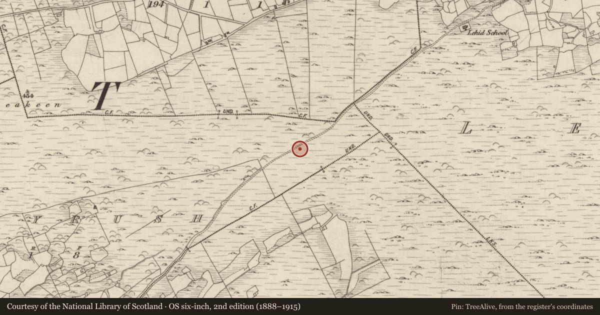 Ordnance Survey six-inch map, 2nd edition (1888–1915) covering the location of Cairn - unclassified, Derryrush, County Kerry, with a pin at the register's coordinates