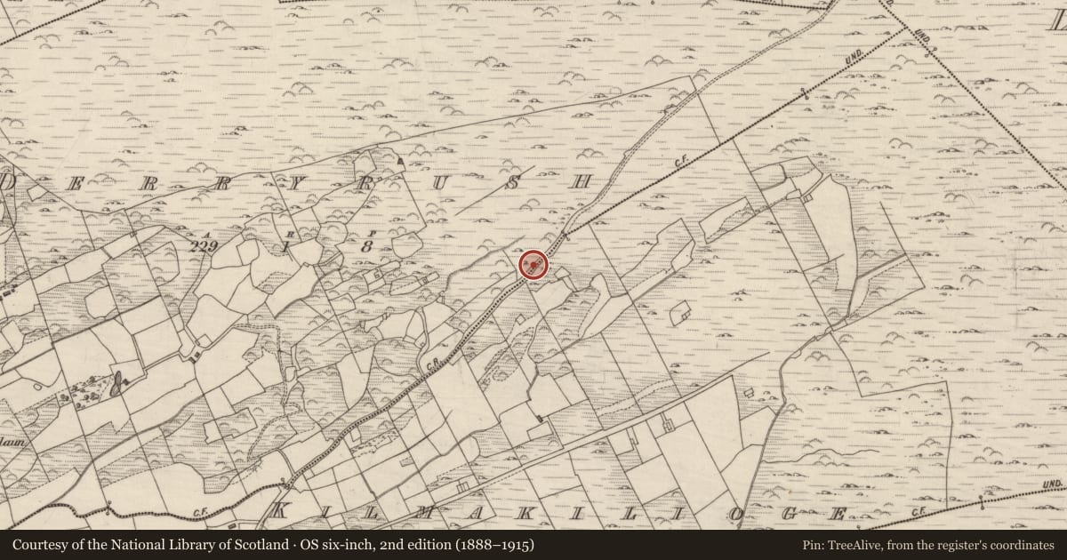 Ordnance Survey six-inch map, 2nd edition (1888–1915) covering the location of Mass-rock, Derryrush, County Kerry, with a pin at the register's coordinates