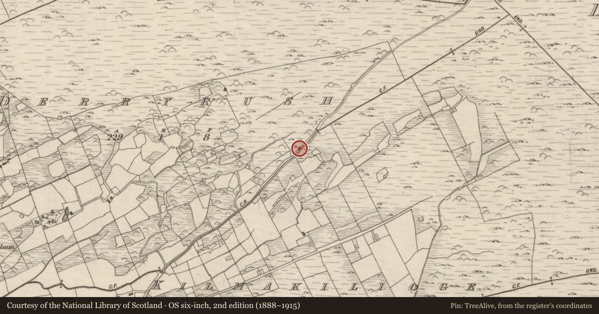Ordnance Survey six-inch map, 2nd edition (1888–1915) covering the location of Bullaun stone, Derryrush, County Kerry, with a pin at the register's coordinates