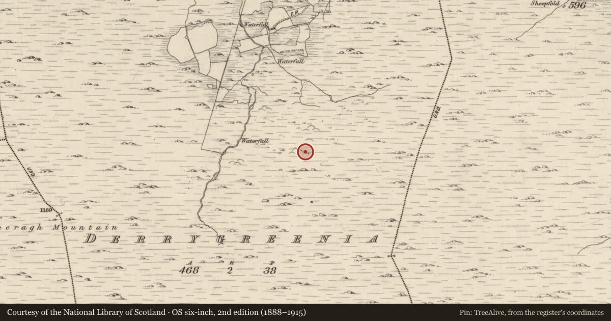 Ordnance Survey six-inch map, 2nd edition (1888–1915) covering the location of Enclosure, Derrygreenia, County Kerry, with a pin at the register's coordinates