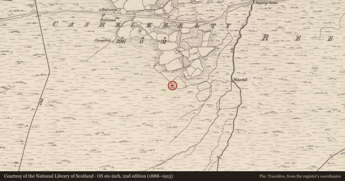 Ordnance Survey six-inch map, 2nd edition (1888–1915) covering the location of Hut site, Cashelkeelty, County Kerry, with a pin at the register's coordinates