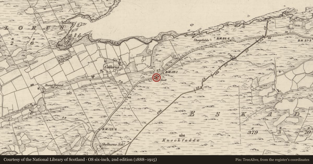 Ordnance Survey six-inch map, 2nd edition (1888–1915) covering the location of Viaduct, Collorus, County Kerry, with a pin at the register's coordinates