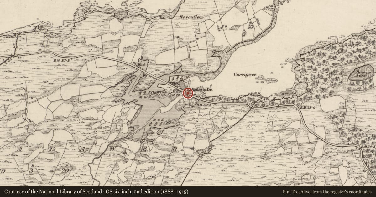 Ordnance Survey six-inch map, 2nd edition (1888–1915) covering the location of Bridge, Eskadawer, County Kerry, with a pin at the register's coordinates