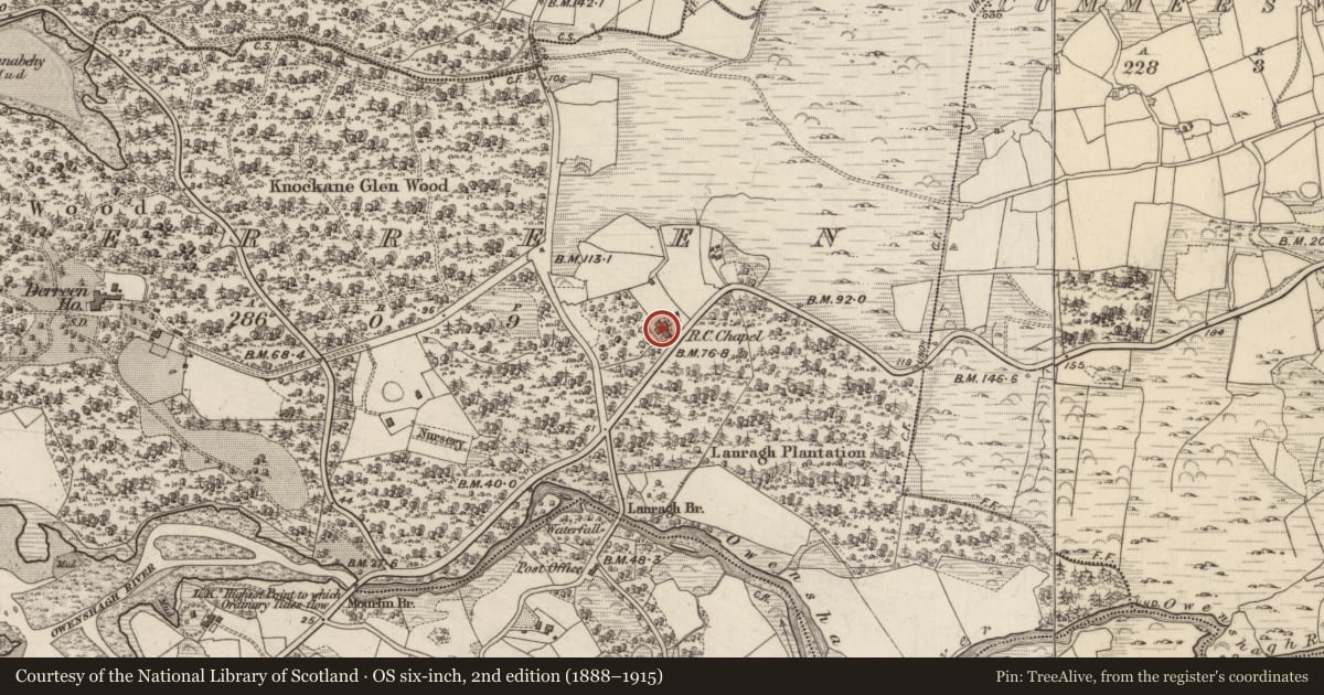 Ordnance Survey six-inch map, 2nd edition (1888–1915) covering the location of Church, Derreen, County Kerry, with a pin at the register's coordinates