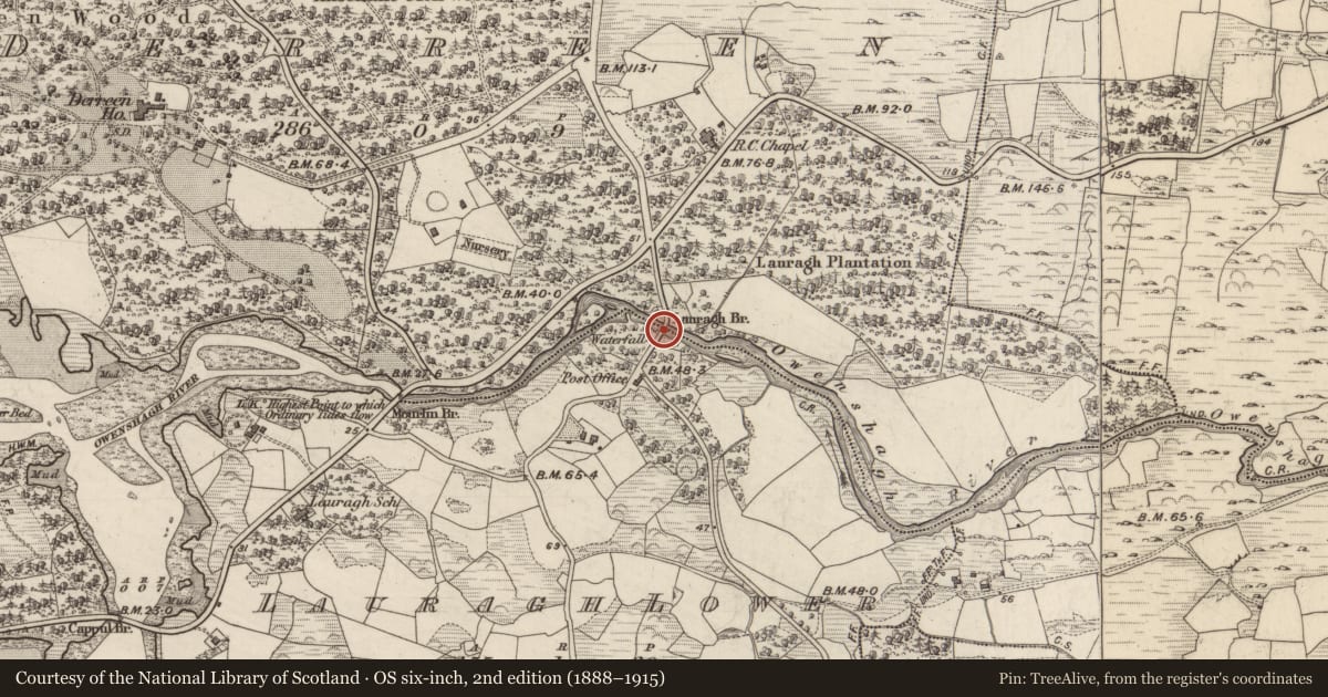 Ordnance Survey six-inch map, 2nd edition (1888–1915) covering the location of Bridge, Lauragh Lower, Derreen, County Kerry, with a pin at the register's coordinates