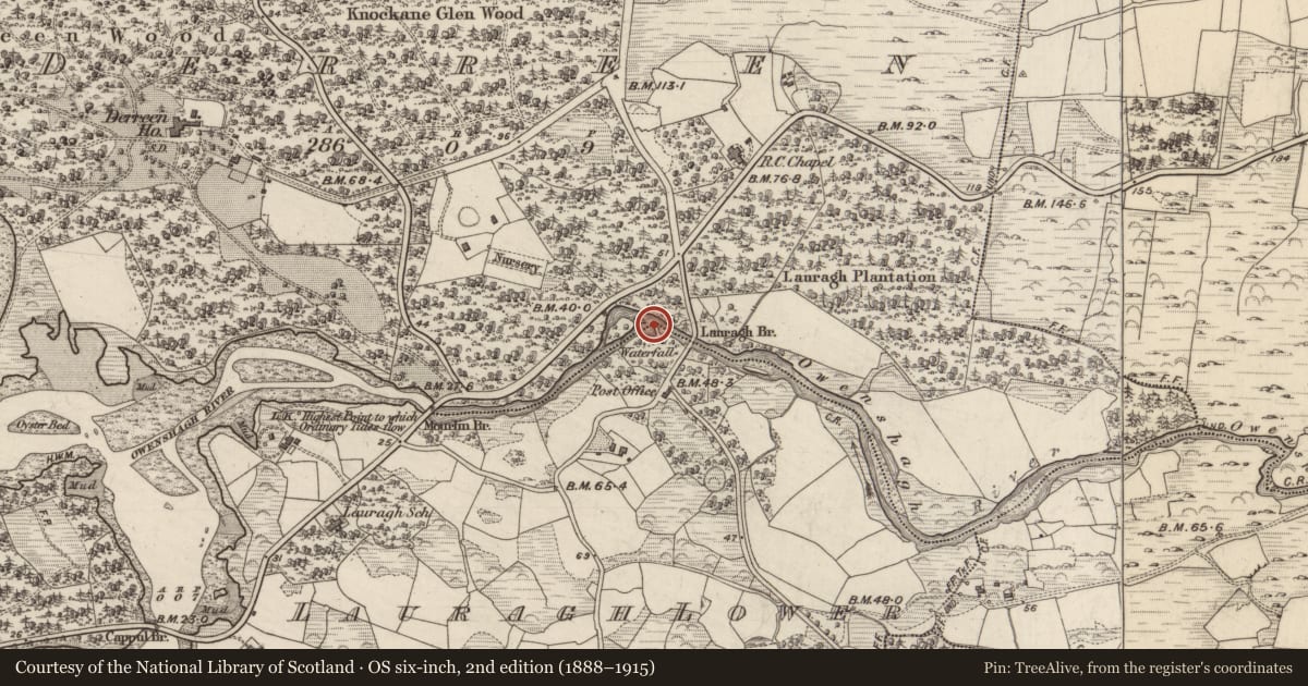 Ordnance Survey six-inch map, 2nd edition (1888–1915) covering the location of Bridge, Derreen, County Kerry, with a pin at the register's coordinates