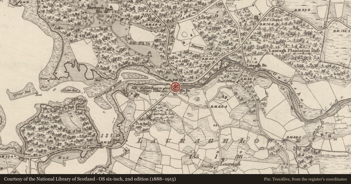 Ordnance Survey six-inch map, 2nd edition (1888–1915) covering the location of Bridge, Derreen, Lauragh Lower, County Kerry, with a pin at the register's coordinates