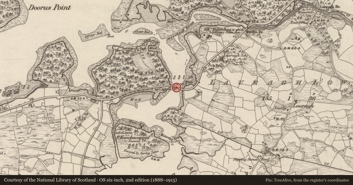 Ordnance Survey six-inch map, 2nd edition (1888–1915) covering the location of Bridge, Lauragh Lower, Reenkilla, County Kerry, with a pin at the register's coordinates