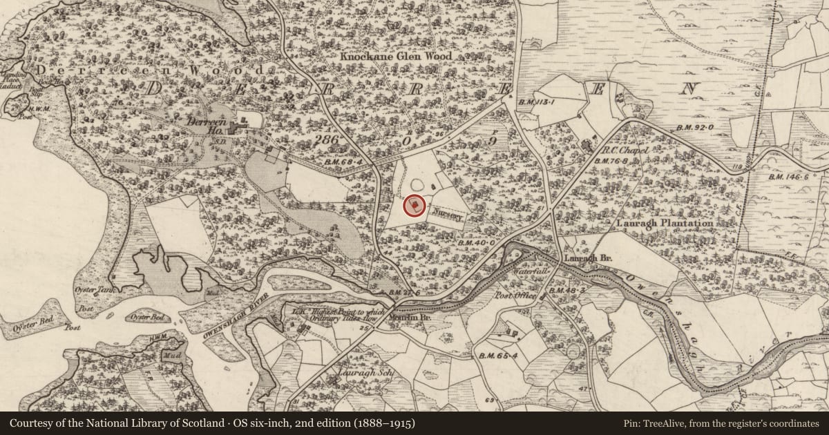 Ordnance Survey six-inch map, 2nd edition (1888–1915) covering the location of House - vernacular house, Derreen, County Kerry, with a pin at the register's coordinates