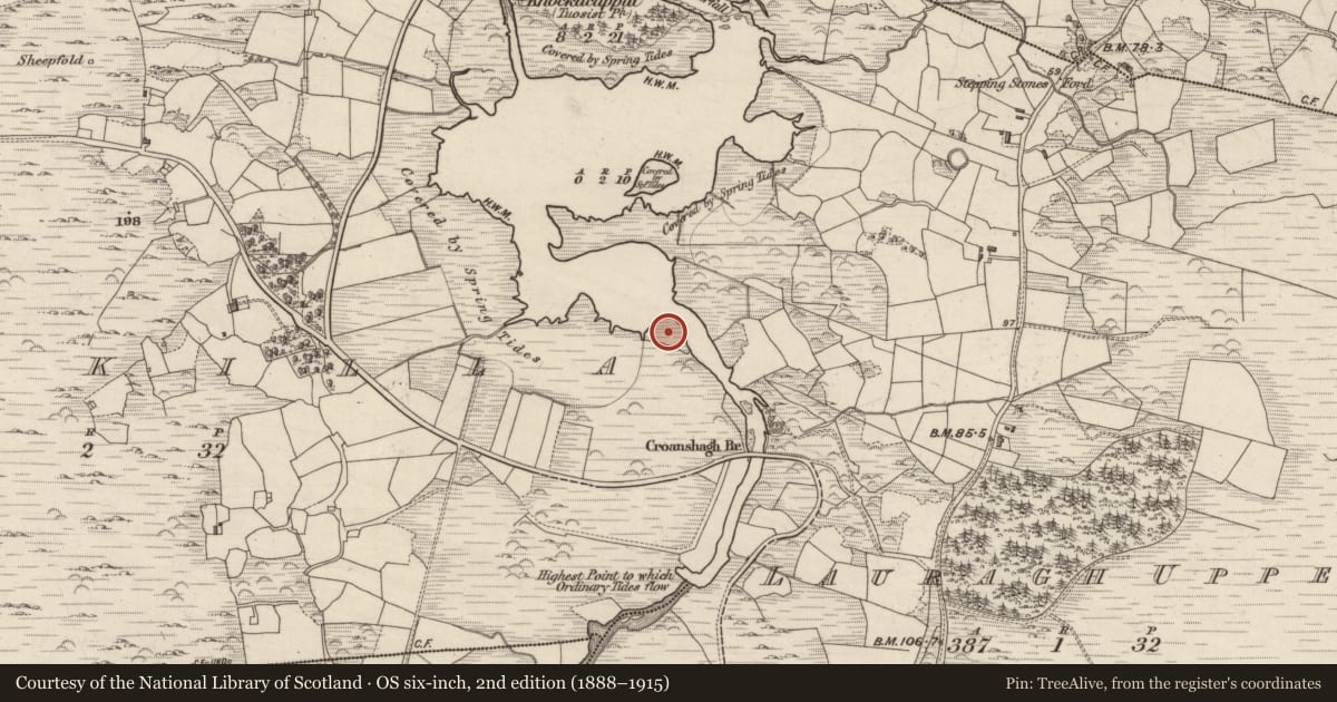 Ordnance Survey six-inch map, 2nd edition (1888–1915) covering the location of Kiln - lime, Reenkilla, County Kerry, with a pin at the register's coordinates
