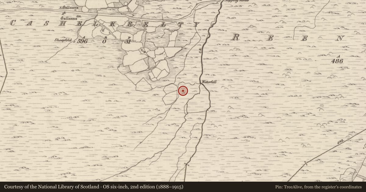 Ordnance Survey six-inch map, 2nd edition (1888–1915) covering the location of Hut site, Cashelkeelty, County Kerry, with a pin at the register's coordinates
