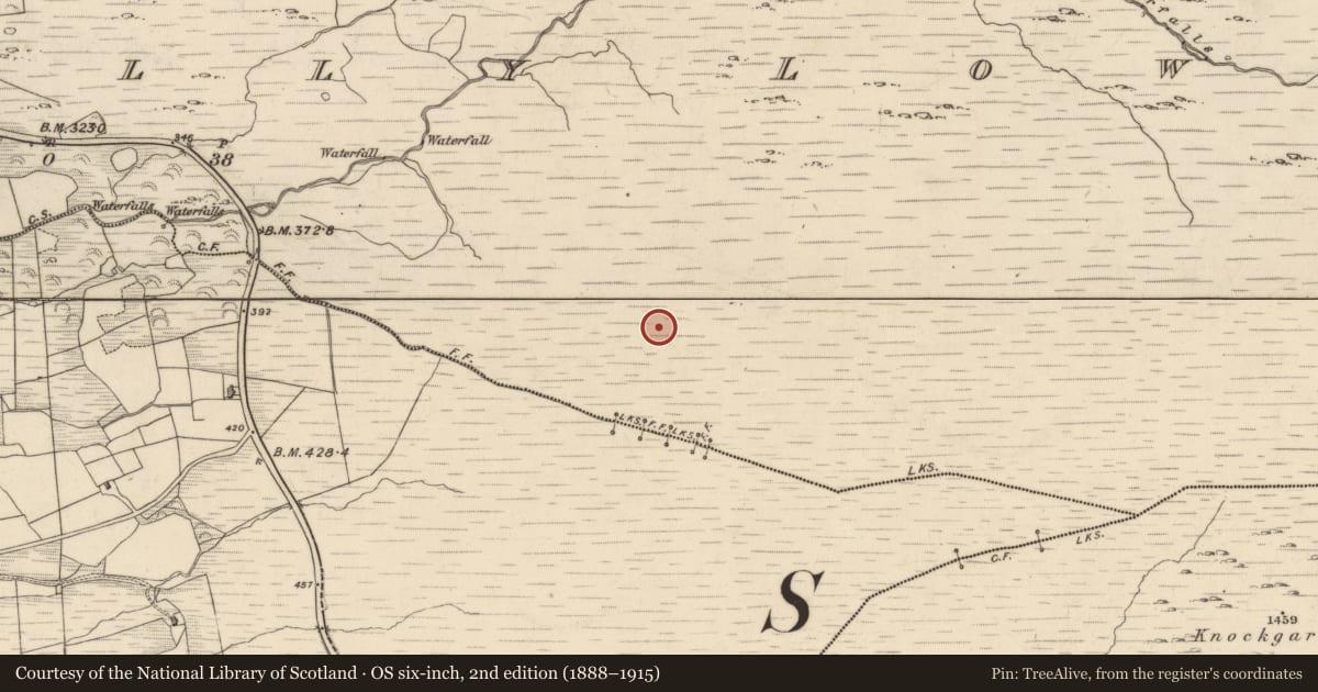 Ordnance Survey six-inch map, 2nd edition (1888–1915) covering the location of Enclosure, Drombohilly Lower, County Kerry, with a pin at the register's coordinates
