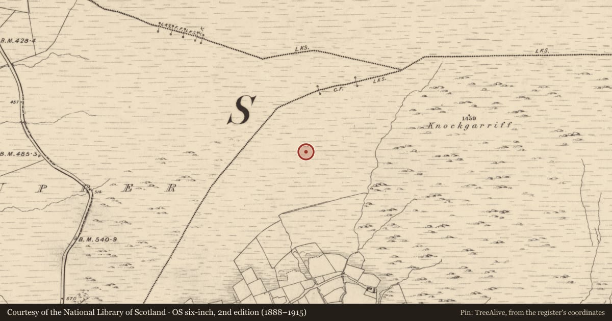 Ordnance Survey six-inch map, 2nd edition (1888–1915) covering the location of Cairn - unclassified, Garranes, County Kerry, with a pin at the register's coordinates