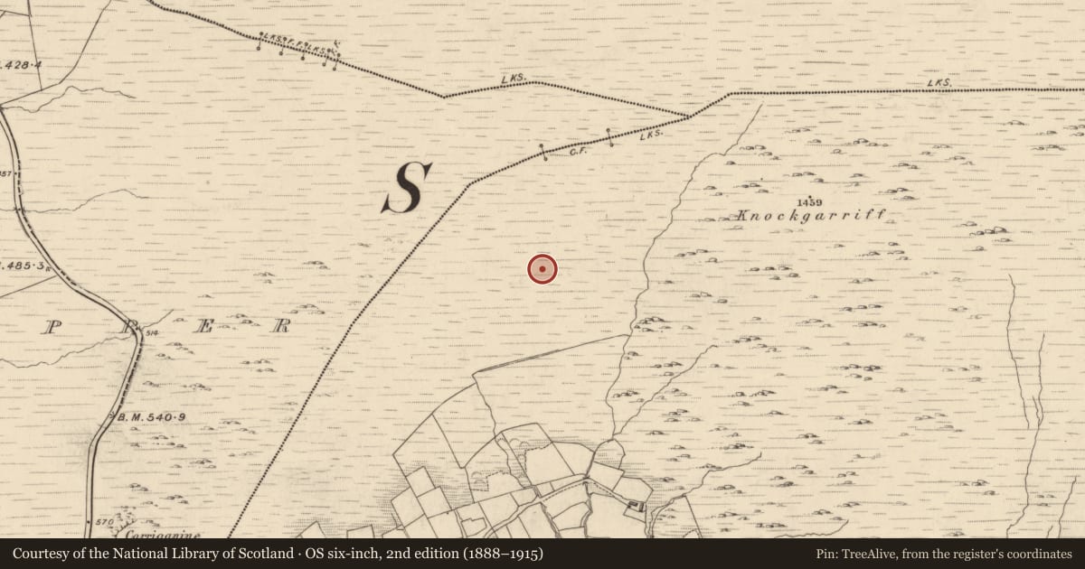 Ordnance Survey six-inch map, 2nd edition (1888–1915) covering the location of Cairn - unclassified, Garranes, County Kerry, with a pin at the register's coordinates