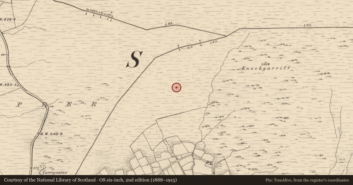 Ordnance Survey six-inch map, 2nd edition (1888–1915) covering the location of Cairn - unclassified, Garranes, County Kerry, with a pin at the register's coordinates