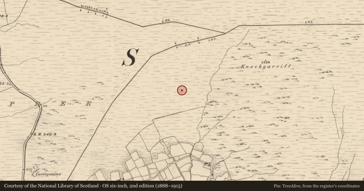 Ordnance Survey six-inch map, 2nd edition (1888–1915) covering the location of Cairn - unclassified, Garranes, County Kerry, with a pin at the register's coordinates