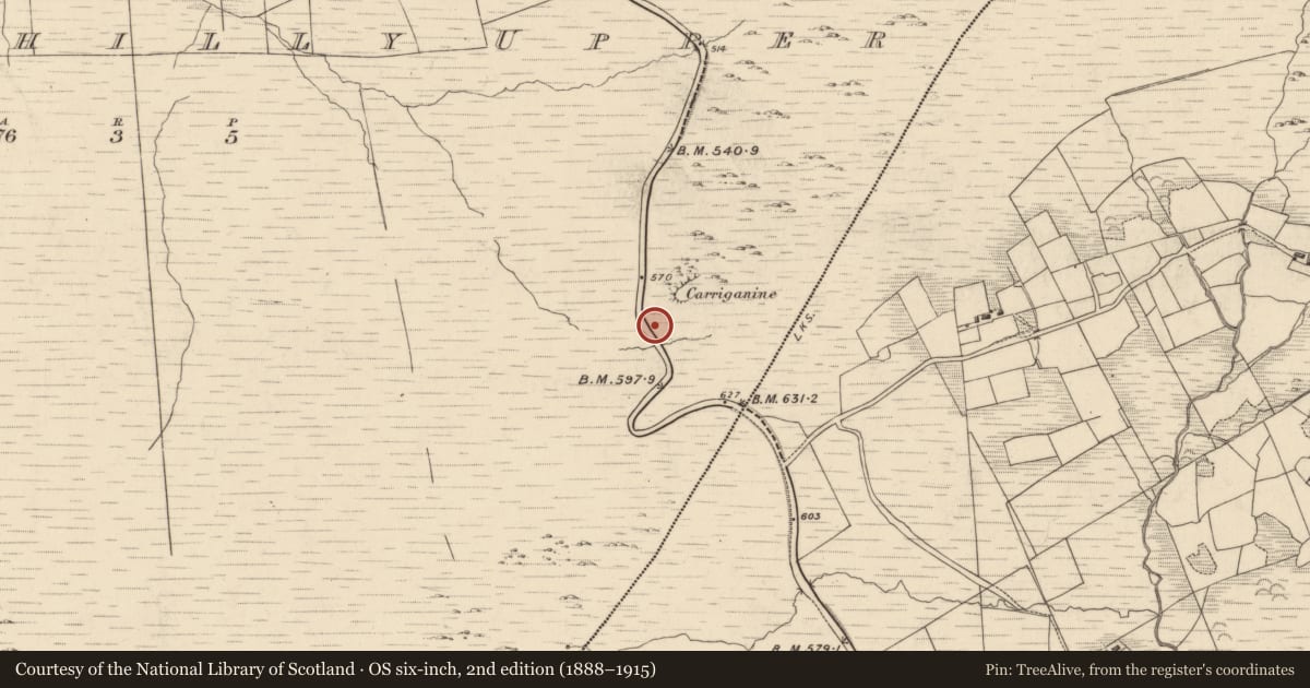 Ordnance Survey six-inch map, 2nd edition (1888–1915) covering the location of Standing stone, Drombohilly Upper, County Kerry, with a pin at the register's coordinates