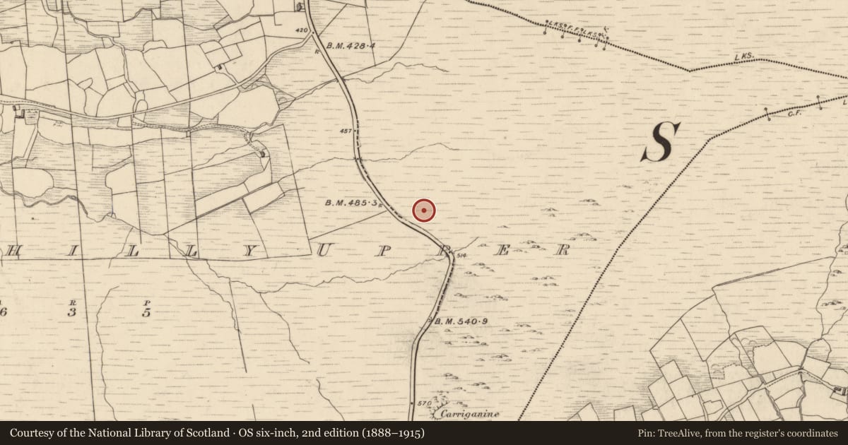 Ordnance Survey six-inch map, 2nd edition (1888–1915) covering the location of Enclosure, Drombohilly Upper, County Kerry, with a pin at the register's coordinates