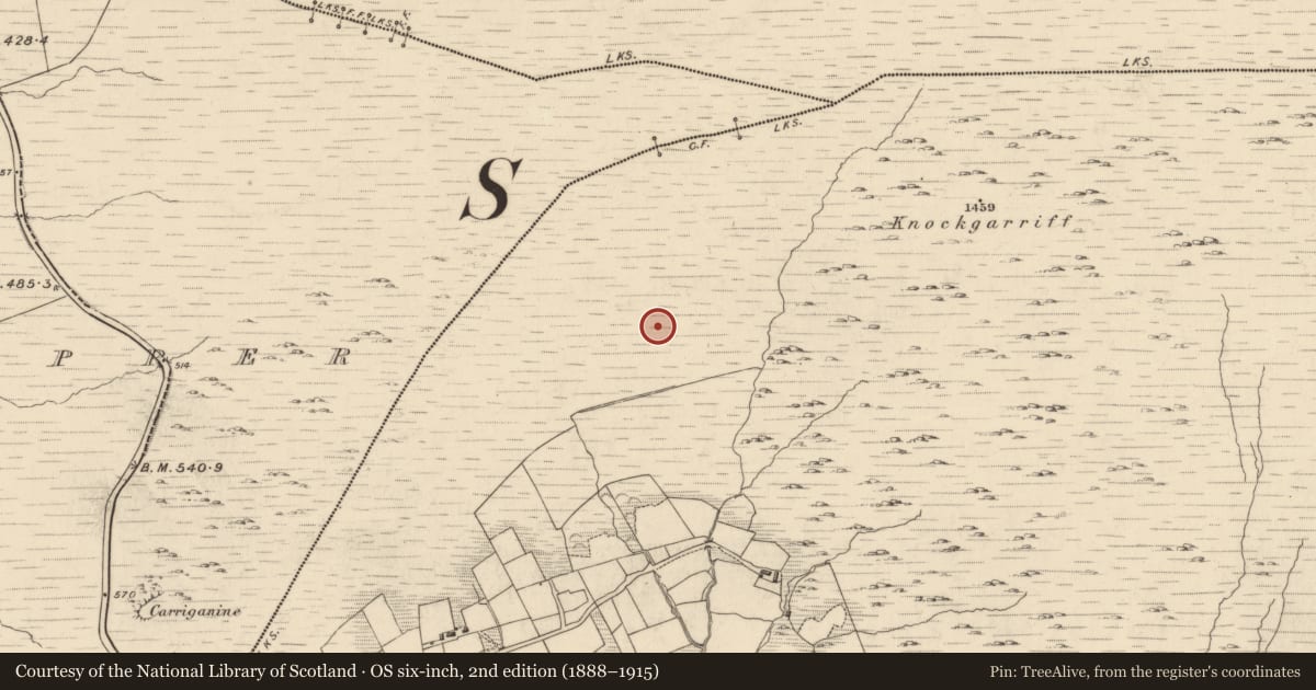 Ordnance Survey six-inch map, 2nd edition (1888–1915) covering the location of Cairn - unclassified, Garranes, County Kerry, with a pin at the register's coordinates