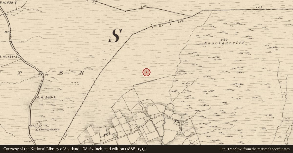 Ordnance Survey six-inch map, 2nd edition (1888–1915) covering the location of Field boundary, Garranes, County Kerry, with a pin at the register's coordinates