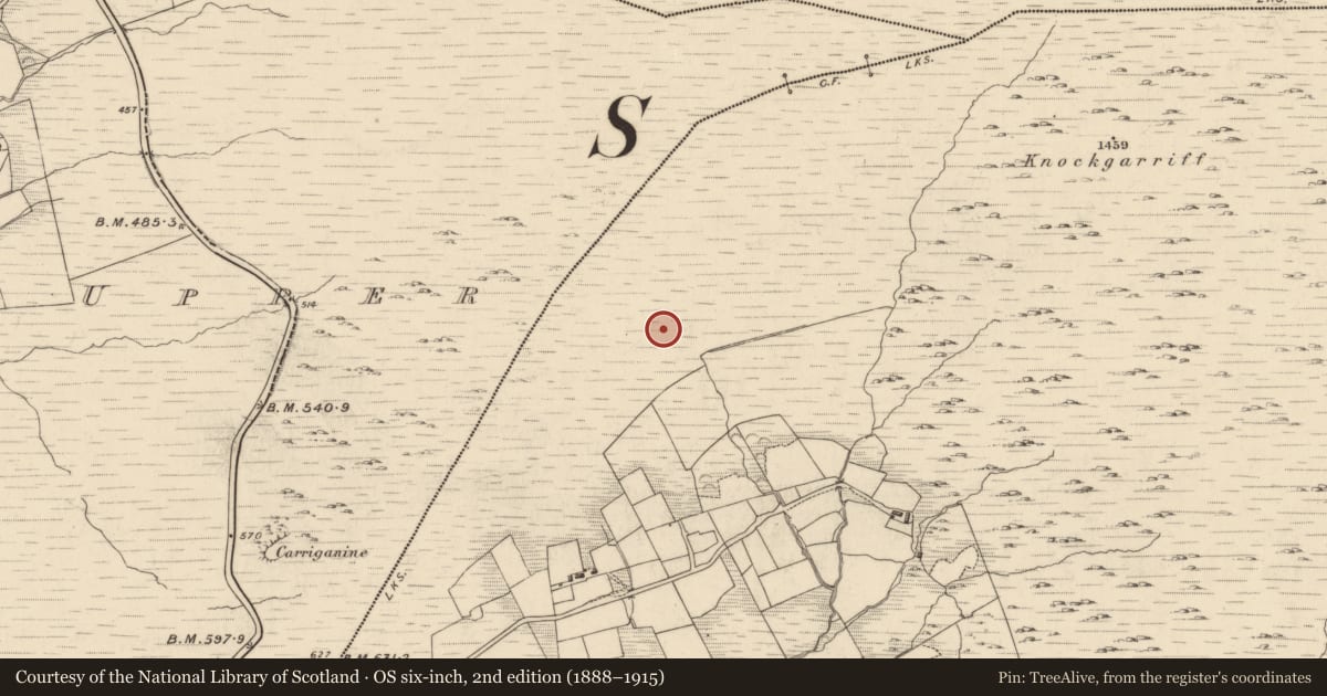 Ordnance Survey six-inch map, 2nd edition (1888–1915) covering the location of Field boundary, Garranes, County Kerry, with a pin at the register's coordinates