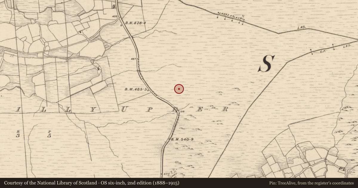 Ordnance Survey six-inch map, 2nd edition (1888–1915) covering the location of Field boundary, Drombohilly Upper, County Kerry, with a pin at the register's coordinates
