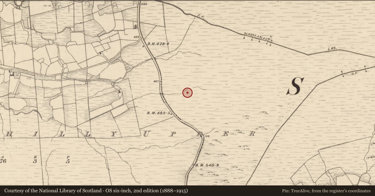 Ordnance Survey six-inch map, 2nd edition (1888–1915) covering the location of Fulacht fia, Drombohilly Upper, County Kerry, with a pin at the register's coordinates