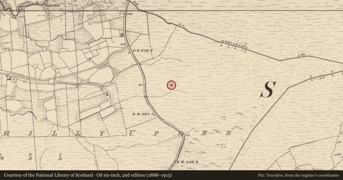 Ordnance Survey six-inch map, 2nd edition (1888–1915) covering the location of Fulacht fia, Drombohilly Upper, County Kerry, with a pin at the register's coordinates