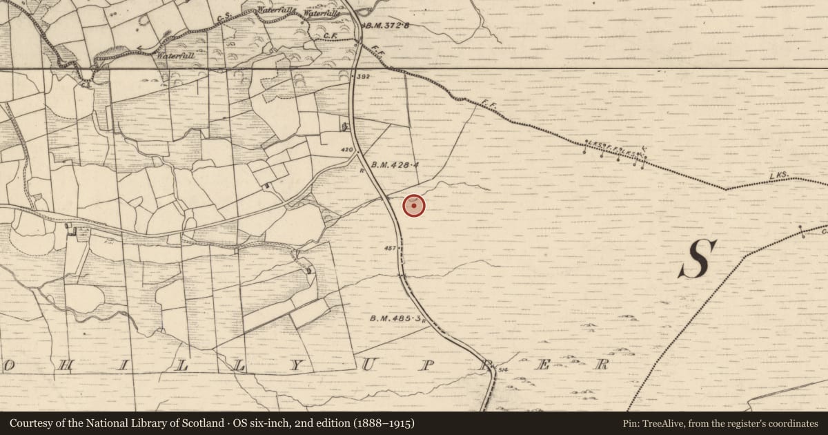 Ordnance Survey six-inch map, 2nd edition (1888–1915) covering the location of Fulacht fia, Drombohilly Upper, County Kerry, with a pin at the register's coordinates