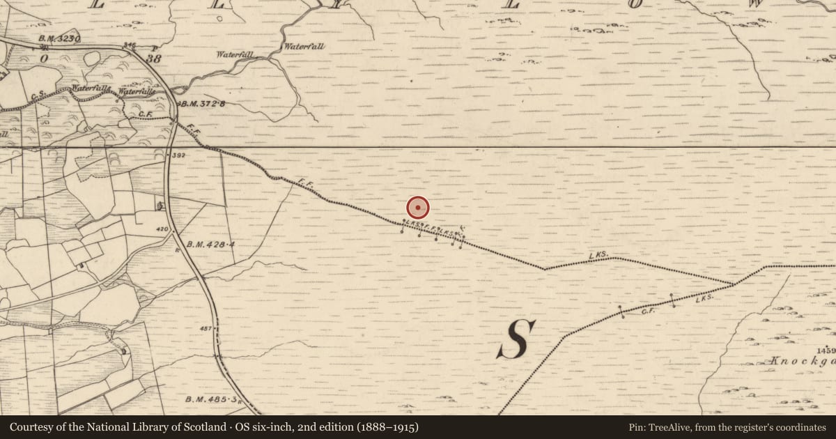 Ordnance Survey six-inch map, 2nd edition (1888–1915) covering the location of Hut site, Drombohilly Lower, County Kerry, with a pin at the register's coordinates