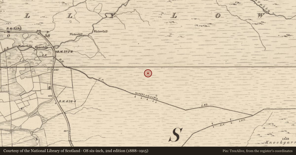 Ordnance Survey six-inch map, 2nd edition (1888–1915) covering the location of Hut site, Drombohilly Lower, County Kerry, with a pin at the register's coordinates