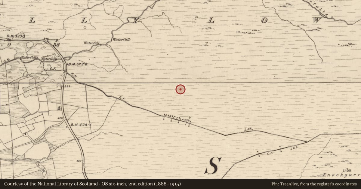 Ordnance Survey six-inch map, 2nd edition (1888–1915) covering the location of Hut site, Drombohilly Lower, County Kerry, with a pin at the register's coordinates