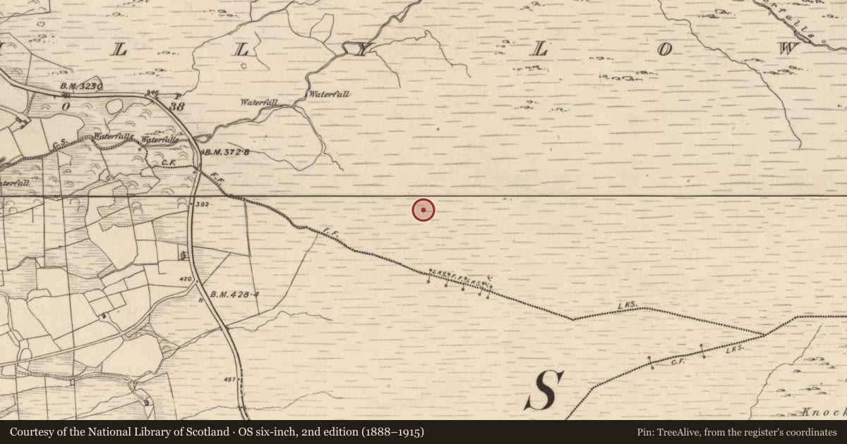 Ordnance Survey six-inch map, 2nd edition (1888–1915) covering the location of Field boundary, Drombohilly Lower, County Kerry, with a pin at the register's coordinates