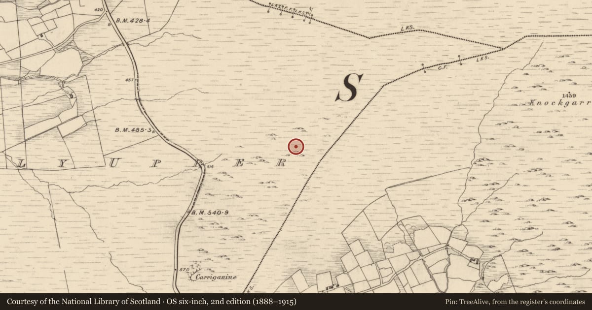 Ordnance Survey six-inch map, 2nd edition (1888–1915) covering the location of Field boundary, Drombohilly Upper, County Kerry, with a pin at the register's coordinates