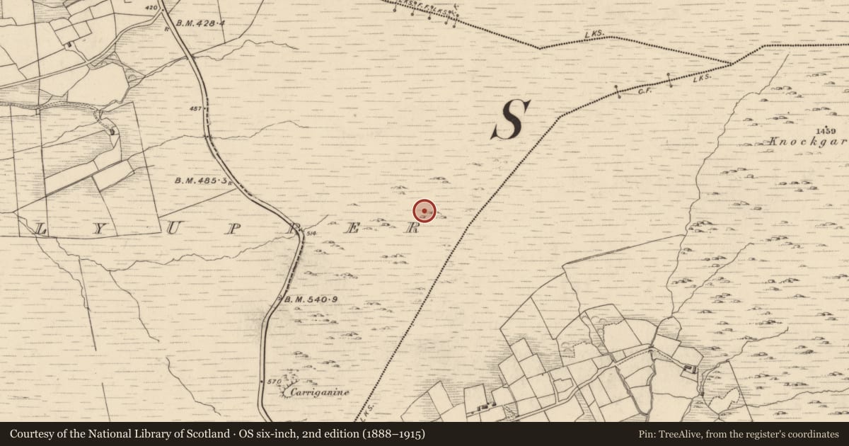 Ordnance Survey six-inch map, 2nd edition (1888–1915) covering the location of Hut site, Drombohilly Upper, County Kerry, with a pin at the register's coordinates