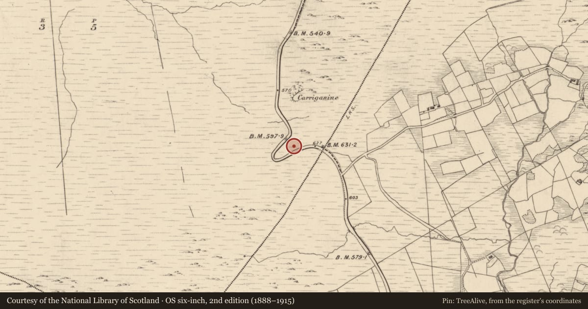 Ordnance Survey six-inch map, 2nd edition (1888–1915) covering the location of Field boundary, Drombohilly Upper, County Kerry, with a pin at the register's coordinates