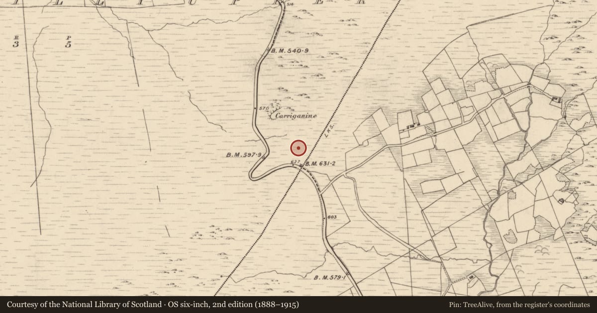 Ordnance Survey six-inch map, 2nd edition (1888–1915) covering the location of Enclosure, Drombohilly Upper, County Kerry, with a pin at the register's coordinates