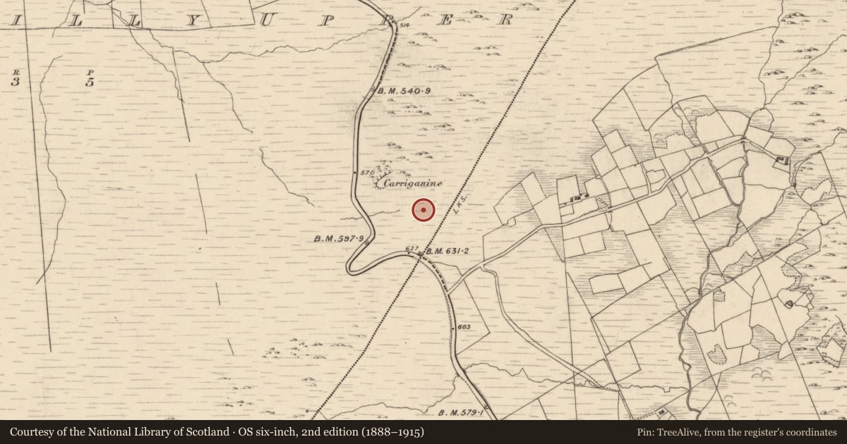 Ordnance Survey six-inch map, 2nd edition (1888–1915) covering the location of Enclosure, Drombohilly Upper, County Kerry, with a pin at the register's coordinates