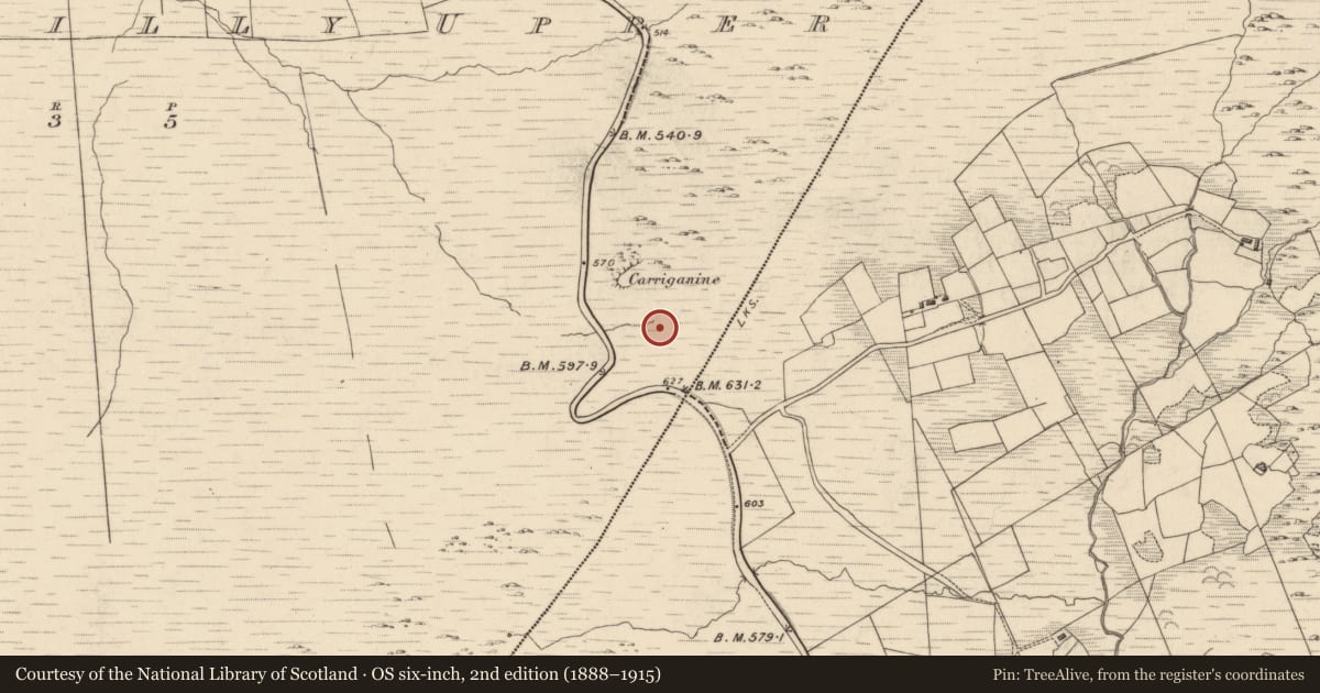 Ordnance Survey six-inch map, 2nd edition (1888–1915) covering the location of Field boundary, Drombohilly Upper, County Kerry, with a pin at the register's coordinates